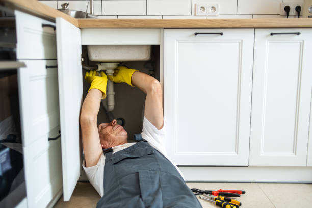 Best Plumbing Inspection Services  in Keaau, HI